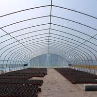 Serre tunnel agricole en vinyle à simple travée, économique et facile à installer, pour la culture de légumes