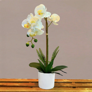 <span class=keywords><strong>Plantas</strong></span> y flores artificiales <span class=keywords><strong>de</strong></span> alta calidad <span class=keywords><strong>en</strong></span> <span class=keywords><strong>macetas</strong></span>, decoraciones para sala <span class=keywords><strong>de</strong></span> estar o mesa <span class=keywords><strong>de</strong></span> oficina - Product Image 6