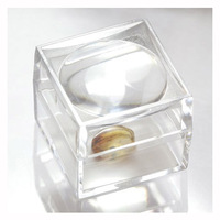 Boîte à loupe cube en acrylique, petite loupe cube claire à usage scientifique étui à loupe cube