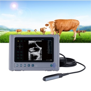 Ultrasonido Veterinario en China, <span class=keywords><strong>Precio</strong></span> Económico, Máquina de Ultrasonido Portátil para Animales - Product Image 1