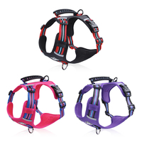 Collier pour chien anti-traction en nylon de qualité supérieure, harnais et gilet réfléchissant pour animaux de compagnie, laisse personnalisée – Accessoires pour animaux de compagnie très demandés