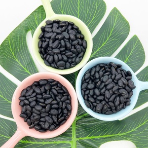 ที่มีคุณภาพสูงเป็นกลุ่มแห้งอินทรีย์ถั่วทั้งหมดสารอาหารที่อุดมไปด้วยถั่วสีดำ - Product Image 6