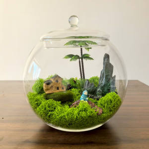 Barattolo moderno per terrario da 20cm con coperchio in vetro vaso decorativo da tavolo e urna per uso interno domestico - Product Image 1