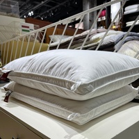 Oreiller en duvet de canard blanc de qualité supérieure, respirant, écologique, avec logo personnalisé, taille king queen, pour l'hôtellerie, les hôtels et l'usage domestique quotidien