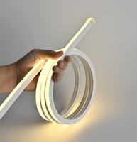 Maxto Offre Spéciale blanc chaud 10x10mm DC Led Neon Flex Light Sign Cuttable Flex Led Strip Light Silicone Tube Wall Decor Light
