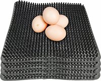 Nouvel état poulet volaille oeuf nid bionique coussin en plastique oeuf tapis Protection