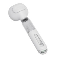 Sèche-cheveux sans fil pour animaux de compagnie, brosse de toilettage extensible, aspirateur électrique, outil de toilettage pour chat et chien, pas de bain nécessaire