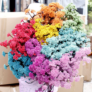 Rames de fleurs de cerisier séchées naturelles et préservées pour l'aromathérapie, <span class=keywords><strong>la</strong></span> photographie, les mariages, <span class=keywords><strong>la</strong></span> décoration de <span class=keywords><strong>la</strong></span> maison et du bureau - Product Image 3