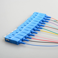 Factory Direct Price 12-Core 0.9mm SC/UPC/APC Single Mode Fibre Bundle Pigtail 1M Available Fibre Optic Patch Cord