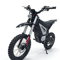 Prix Promotionnel Moto Tout-Terrain Électrique Ron Light Bee X 2025 de Haute Qualité pour Adultes Accessoires Kukirin G2 Master Haver Board Road