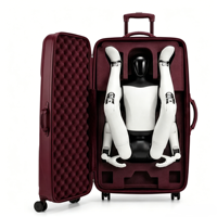 Valise de transport à roulettes rigide OEM ODM pour robot, anti-pression, durable, avec conception structurelle personnalisée