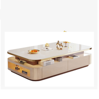 Ensemble de tables basses modernes et contemporaines durables avec rangement, plateau en pierre frittée, structure en bois, mobilier de salon