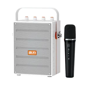 40W Ngoài Trời Loa Di Động Có Thể Sạc Lại Bt Chuyên Nghiệp Nhạc Cụ Âm Thanh Guitar Khuếch Đại PA Loa Với Microphone