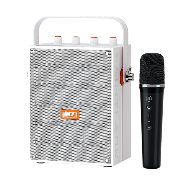 Speaker Portable Rechargeable BT Professional Musical Instrument Audio Guitar Amplifier PA Speaker With Microphone