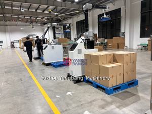 Robot de palettisation automatique pour sacs, cartons et caisses – Machine de palettisation robotisée – Empileur robotisé - Product Image 4