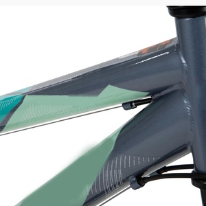 Diseño Popular Adultos Aleación Acero 21 Velocidad Twist Shifting Lineal Pull Manual Pedaling en venta - Product Image 2