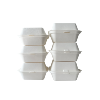 Boîte à lunch moderne pour pique-nique et plats à emporter, en pulpe de canne à sucre, biodégradable, jetable, résistante à l'eau, micro-ondable, à trois compartiments, 9 pouces