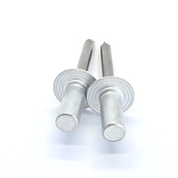 Rivets aveugles à extrémité fermée personnalisables de haute qualité, multi-styles, à tête dôme, en aluminium et acier inoxydable, avec gamme de mandrins de préhension – Vente chaude