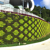 Jardinière murale personnalisable de style urbain moderne, pot de fleurs mural, jardin vertical, utilisation domestique