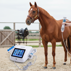 BM Seven ColorEnery Factory Manufacturer Dual-Use Horse <b>Dog</b> Cat Relaxation Massage Equipment Orthopedic Veterinary Shockwave - Product Image 2