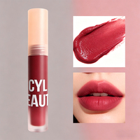 Rouge à lèvres liquide mat longue tenue, waterproof, hydratant, sans transfert, effet velours aérien, végétalien, à base de plantes, sans logo, best-seller