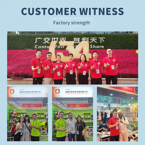 แก้วเซรามิกสีขาวขนาด 11 ออนซ์ สำหรับงานซับลิเมชั่น แก้วเปล่าปรับแต่งได้ แก้วเซรามิกสำหรับงานซับลิเมชั่น - Product Image 4