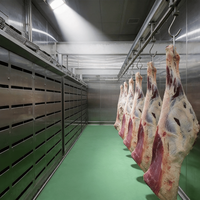 Machine de décongélation automatique pour viande congelée, équipement de décongélation à basse température et haute humidité pour usine de transformation alimentaire