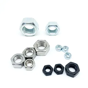 Custom Blue Zinc Stainless Steel Ss304 316 Hex Nut Complete In Specifications