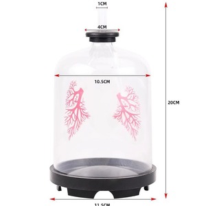 Simulatore di Respirazione Polmonare Modello S-56894, Attrezzatura per lo Scambio Gasogeno Polmonare per Scuole Medie - Product Image 2