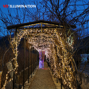 Party Decoration Christmas Customize Outdoor <strong>Led</strong> Fairy <strong>String</strong> <strong>Light</strong> - Product Image 5