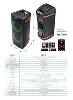 T.I Pro AUDIO Mini enceinte active professionnelle de 6,5 pouces pour soirée avec une puissance de sortie de 80 W et un amplificateur de classe D (bois)