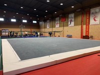 14m X 14m Rhythmische Gymnastik-Bodenteppich Trainingsmatte Wettkampftyp Sprungbodensystem für Trainingsanlagen