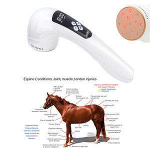 Pet Dor Produto LLLT 810nm 650nm <span class=keywords><strong>Laser</strong></span> Frio para Artrite Do Cão Animal Orelha Infecção Animal Alívio Da Dor - Product Image 4