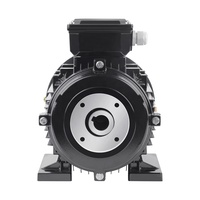 Moteur à arbre creux de qualité industrielle de 15kW pour nettoyeurs haute pression