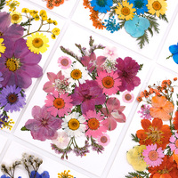Kit de loisirs créatifs pour spécimens végétaux séchés pour les maternelles, avec fleurs séchées pressées à l'époxy, marque-page et cadre photo en résine époxy