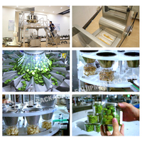 Ligne de production d'emballage automatique personnalisable CE pour fruits, viande et légumes marinés salés, machine de remplissage de cornichons