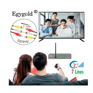 EGYGOLD Serveur stable 7 lignes Agent Cccam pour l'europe Espagne Portugal Pologne OSCAM ICAM NEWCAM Allemagne pour réception TV par satellite