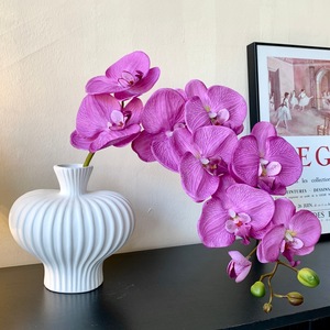 Orchidée Phalaenopsis Artificielle Muyu Chronicles à 9 Têtes, Composition Florale en Soie pour Vase, Décoration de Mariage et d'Intérieur - Product Image 3