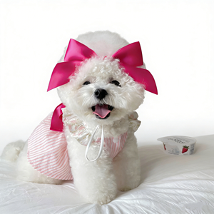 Vêtements pour chiens ZHONGYA : Robe coréenne mignonne à carreaux rouges avec broderie, collection printemps, best-seller - Product Image 1