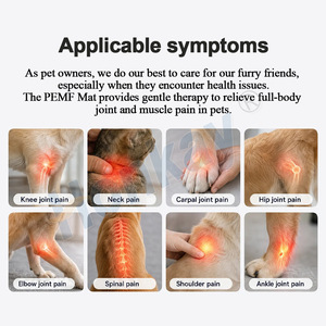 Appareil PEMF certifié CE pour les soins de santé des animaux de compagnie, améliore la mobilité des articulations, améliore la circulation des animaux, dispositif PEMF pour les soins des animaux de compagnie - Product Image 2