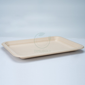 Sugarcane Bagasse Tray Sugarcane Bagasses Plate Bio Degradable Bagasse Paper Plate