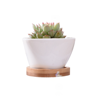 Petits pots de fleurs en céramique blancs triangulaires pour l'intérieur et l'extérieur avec des plateaux en bambou