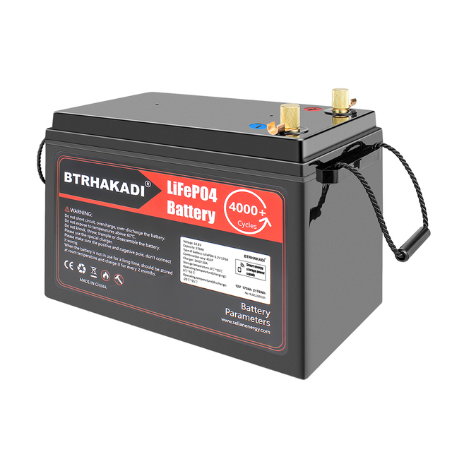 EU STOCK Fast Free Shipping 12V 170A C20 LiFePO4 Rechargeable Battery Pack Built in BMS with BT 14.6V 20A Charger Battery
