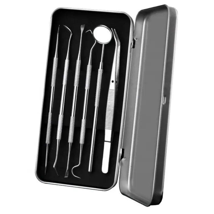 Wholesale High Quality Stainless Steel Dentist Tools Hygiene Cleaning Tooth Dental Pick Kit