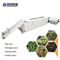 Déshydrateur alimentaire mini personnalisable – Séchoir industriel à fruits avec bande transporteuse en maille pour choux/fruits/gingembre – Séchoir automatique