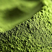 Poudre de thé vert Matcha biologique non sucré de qualité supérieure en vrac pour la restauration, idéale pour les cafés et les lattes, en sachet/bouteille