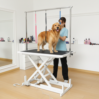 Table de toilettage électrique pour animaux de compagnie en acier inoxydable, robuste, haute capacité de charge, hauteur réglable, plateau antidérapant, avec bras