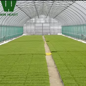 Grandes et <span class=keywords><strong>mini</strong></span> serres agricoles à faible coût Film d'acier en plastique PE métallique pour la <span class=keywords><strong>culture</strong></span> de légumes pour la <span class=keywords><strong>culture</strong></span> de plantes - Product Image 4
