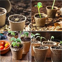 Pots de tourbe Pot de semis rond Plantes biodégradables Pots de pépinière Fourniture de jardinage pour démarreur de plantes