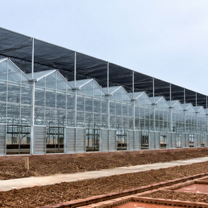 Invernadero de Vidrio Tipo Venlo con Estructura de Aleación de Aluminio y Ventilación Automática para Producción Comercial de Plantas de Alta Eficiencia - Product Image 1